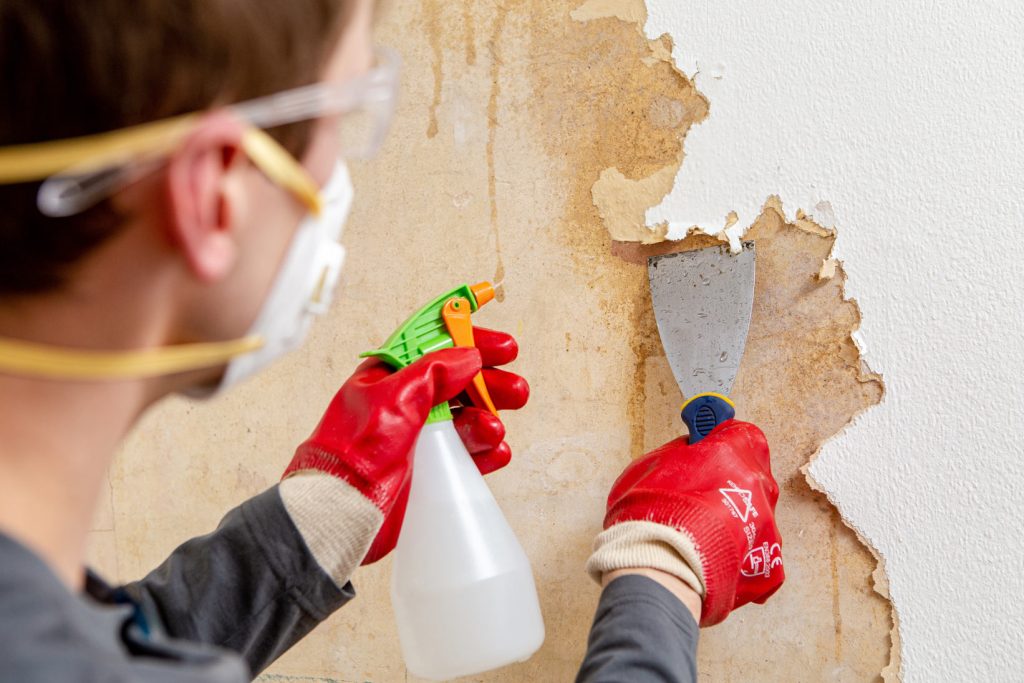 Un personne qui décolle du papier peint �&nbsp; l'aide d'un pulvérisateur �&nbsp; eau
